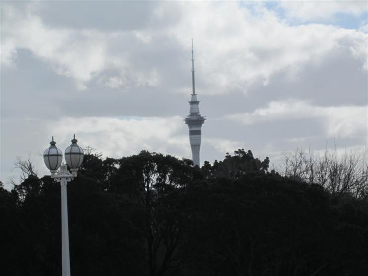 View of Sky Tower from Auckland Domain