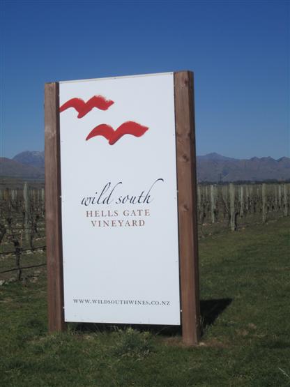 Another vineyard in the Wairau Valley