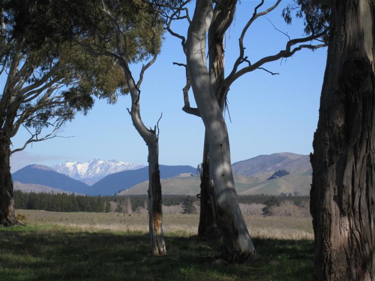 View across one side of Wairau Valley