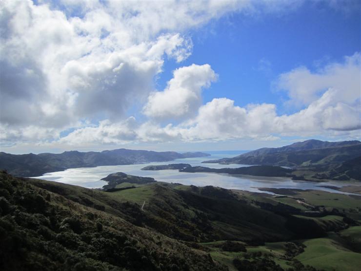 Lyttleton Harbour