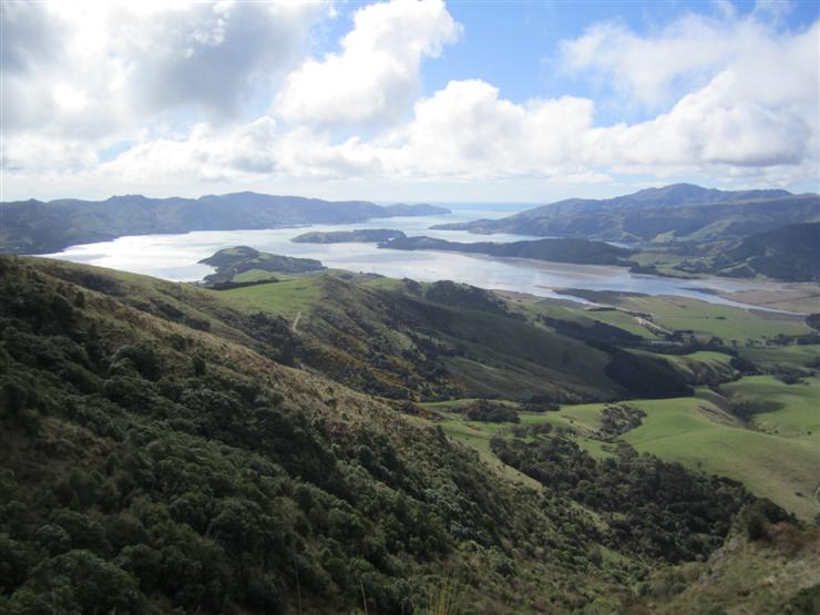 Lyttleton Harbour