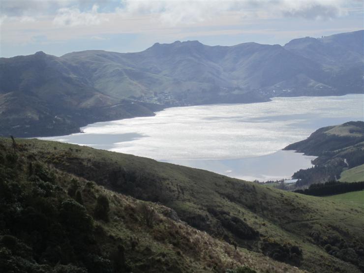 Lyttleton Harbour