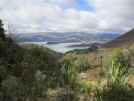 Lyttleton Harbour from Port Hills