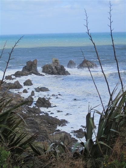 Along Cape Foulwind