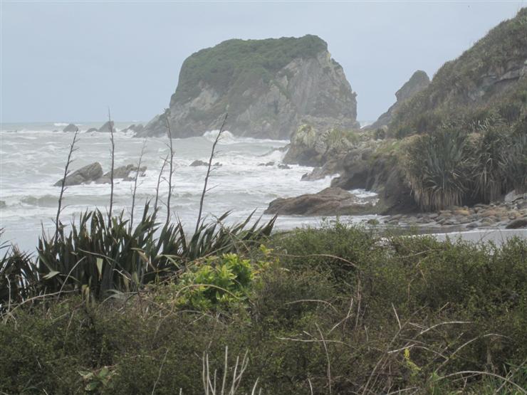 Wall Island. It still has native plants which were burnt by Maori and settlers on the mainland