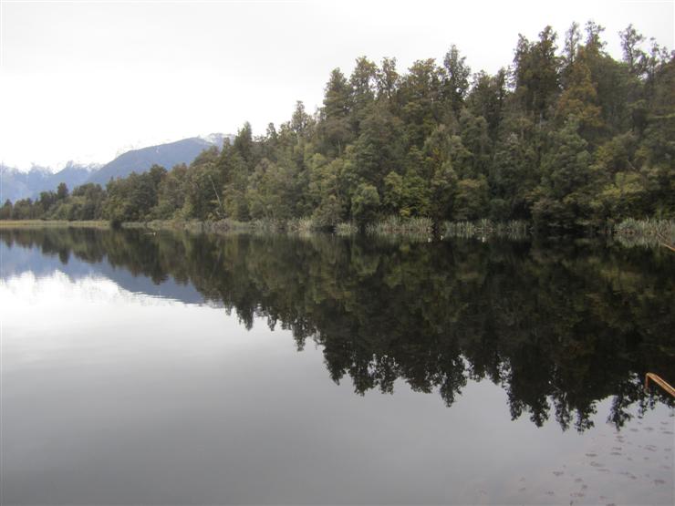 Pretty reflection on Lake Matheson