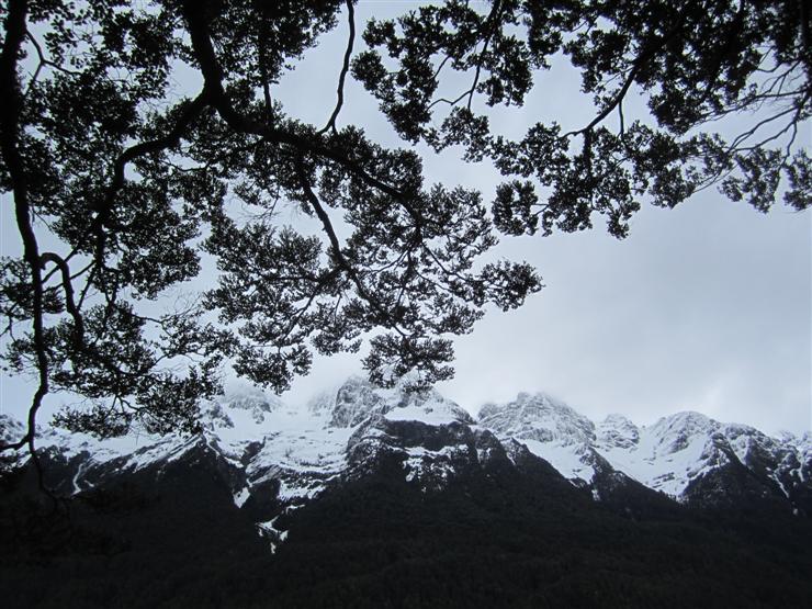 Branches and mountain tops above Mirror Lake