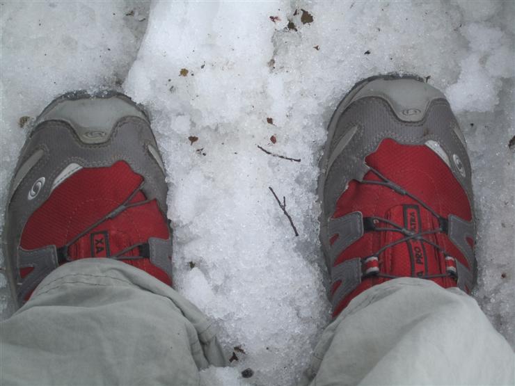 Feet in snow. Much of the highway to Milford Sound is an avalanche zone and frequently closed