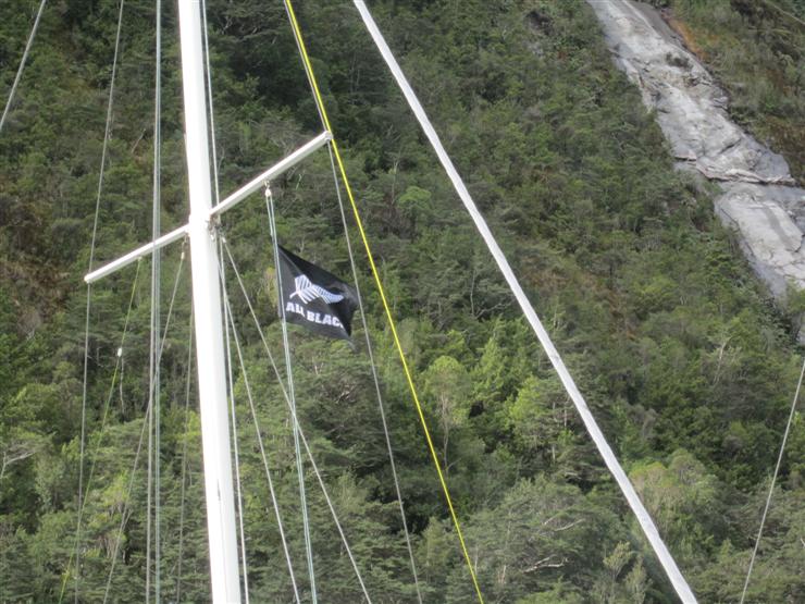 For those who need reminding that we're in New Zealand. I'd recommend the visit to Milford Sound to anybody. I didn't photograph it while in the bus but the vista that greets you as you come out of the Homer Tunnel is breath-taking