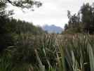 Lake Matheson from the other end, halfway round a very pleasant walk