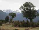 Trees, mountains, cloud. It's New Zealand