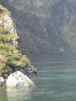 Seal Rock with basking New Zealand fur seals